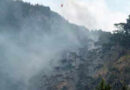 250 Feuerwehrleute bei Waldbrand im Einsatz