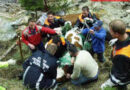 Bergung von Kühen mit Komplikationen