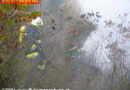 Weinkeller standen in Vollbrand