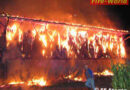 Futtermittelhaus stand in Flammen – 2 Kälber umgekommen