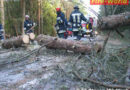 Feuerwehr Stegen im Sturmeinsatz