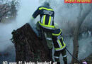 Brand eines Baumstumpfes