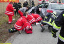 Frontal gegen Baum – Lenker tot