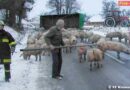 Oö: Feuerwehr nach Unfall auf Schweinefang