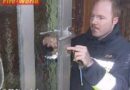 Nö: Zwei Personenrettungseinsätze innerhalb 1 Stunde