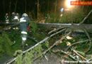 Oö, Sbg, Wien:  Sturm brachte Einsätze für die Feuerwehren