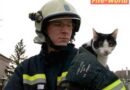 Nö: Bilderbuch-Tierrettungseinsatz für die FF Herzogenburg-Stadt