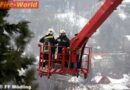 Nö: Feuerwehr auf Papageien-Jagd