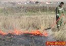 Bgld: Neuerlich Flurenbrand in Mörbisch am See