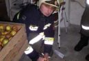 Oö: Vermuteter Gasaustritt in Wohngebäude