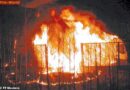 Stmk: Sattelzug-Führerkabine stand in Vollbrand