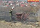 Bgld: Neuerlicher Schilfbrand in Mörbisch/S.