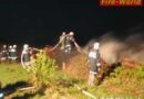 Bgld: Feuer am Holzlagerplatz an bereits „bekannter“ Adresse