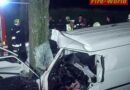 Nö: Lieferwagen kollidierte mit Baum – Lenker eingeklemmt