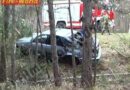 Nö: Voll besetzter Pkw verunglückt