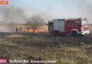 Nö: Flächenbrand neben der Südbahn