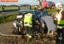 Nö: Nach Ausweichmanöver gegen Baum geprallt