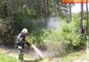 Nö: Feuer auf der Böschung