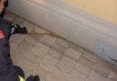 Nö: Feuerwehr als Schlangenfänger