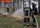 Nö: Waldbrand in der Siedlung Maria Theresia