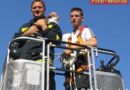 Nö: Tierrettungseinsatz in Gänserndorf – Die Katze in der Dachrinne
