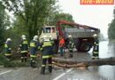 Oö: Baum legte Verkehr auf Schlierbacher Landesstraße lahm!