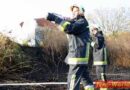 Nö: Flurbrand bei einen Naturdenkmal in Mödling