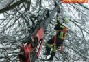 Nö: 23 Schneedruck-Einsätze der FF Klosterneuburg-Kierling