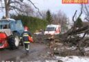 Nö: Person mit Beinen unter Baum eingeklemmt