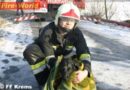Nö: Hund von Feuerwehr aus eiskalter Donau gerettet