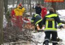Nö: Bei Holzarbeiten in Sommerein eingeklemmt und schwer verletzt