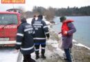 Stmk: Vogelgrippe erfordert Feuerwehr-Assistenzeinsatz