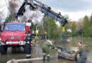 Nö: Katastrophenhilfsdienst in Angern and der March im Einsatz