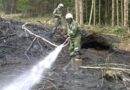 Nö: Reisighaufen verbrannt – Waldbrand in St. Georgen in der Klaus