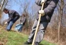 Oö: Landschaftssäuberungsaktion der Feuerwehrjugend Marchtrenk