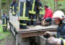 Oö: Schwierige Pferderettung auf Brücke im Pesenbachtal