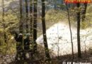 Oö: Flurenbrand durch Ausbringung heißer Asche in Puchenau