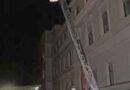Nö: Einsatzserie für die FF Wiener Neustadt