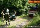 Bgld: Autobergung im Waldgebiet in Forchtenau