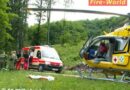Nö: Feuerwehreinsätze nach Forstunfall und Verkehrsunfall in Wihelmsburg