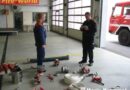 Nö: Pfingstlager der Feuerwehrjugend Gänserndorf