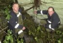 Nö: Person in Hochwasser führende Ybbs gestürzt – Mann tot