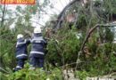 Stmk: Schweres Unwetter in Liezen – Bäume entwurzelt
