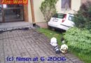 Stmk: Herrenloses Taxi – Endstation an der Hausmauer