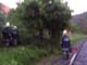 Nö: Baum drohte in Waidhofen/Ybbs auf Gleiskörper zu stürzen