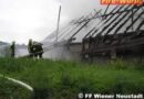 Nö: Wirtschaftsgebäudebrand bei Wr. Neustadt – 12 Pferde in Sicherheit