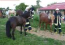 Nö: Großübung für Feuerwehr mit besonderen Details in Zogelsdorf