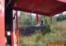 Nö: Waldbrand in Deutsch-Wagram
