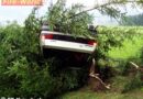 Stmk: Ausritt in den Wald auf der B72 bei Krieglach: