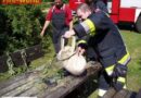 Nö: Kleinbrand am Spielplatz / Freizeitgelände Südstadt in Maria Enzersdorf